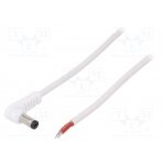 Cable; wires,DC 5,5/1,7 plug; angled; 1mm2; white; 1.5m; -20÷70°C DC.CAB.1911.0150 BQ CABLE