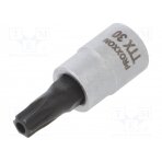 Cap; socket spanner,Torx® with protection; T30H; 1/4"; 33mm PR23762 PROXXON