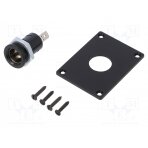 Car lighter socket adapter; car lighter mini socket x1; 16A PROCAR-67617030 PRO CAR