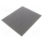 Cleaning cloth: sandpaper; Granularity: 30; 230x280mm PG-T.01 PG PROFESSIONAL
