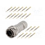 Connector: circular; RT360; plug; male; crimped; for cable; PIN: 19 RT0W61419PNH-K AMPHENOL