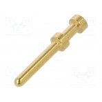 Contact; male; copper alloy; gold-plated; 0.37mm2; 22AWG; bulk 16A-GM-0.37 DEGSON ELECTRONICS