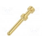 Contact; male; gold-plated; 0.5mm2; EPIC H-BE 2.5; crimped 11192000 LAPP