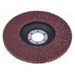 Flap grinding wheels; Ø: 125mm; Øhole: 22.2mm; Granularity: 80 PRE-44813 PROLINE