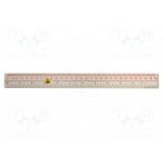Ruler; ESD; 300mm; ABS; <0.1MΩ ERS-410920101 EUROSTAT GROUP