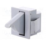 Switch: door; Pos: 2; SPDT; 5A/250VAC; Leads: connectors 4,8x0,5mm AE-E3111CAGYGY BULGIN